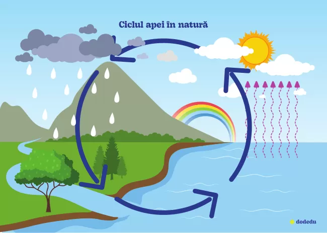 Planșă - Circuitul apei în natură