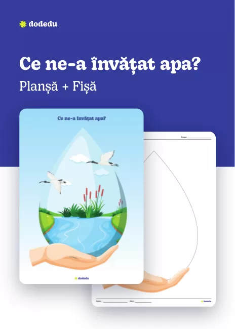 Ce ne-a învățat apa - Set Planșă+Fișă