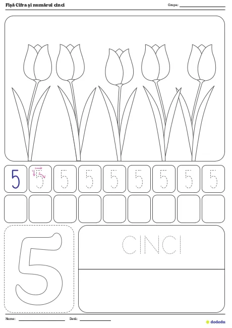Fișă Cifra și numărul cinci