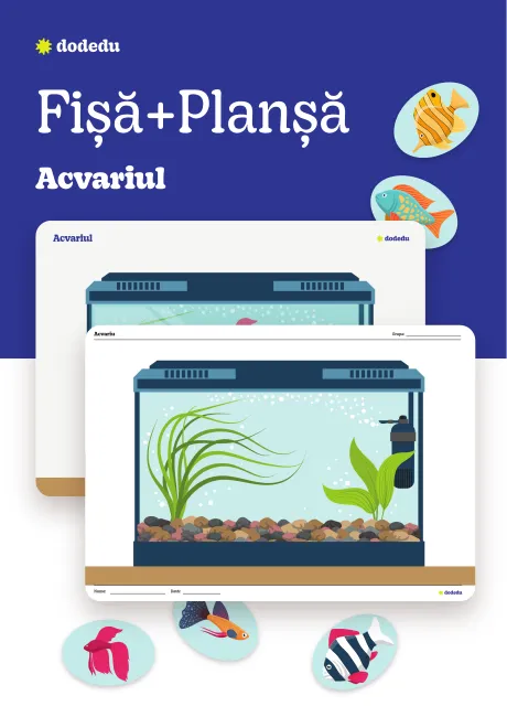 Acvariul - Set Planșă+Fișă