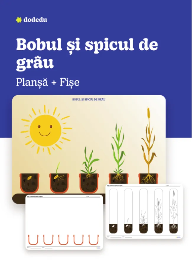 Bobul și spicul de grâu - Set Planșă + Fișe