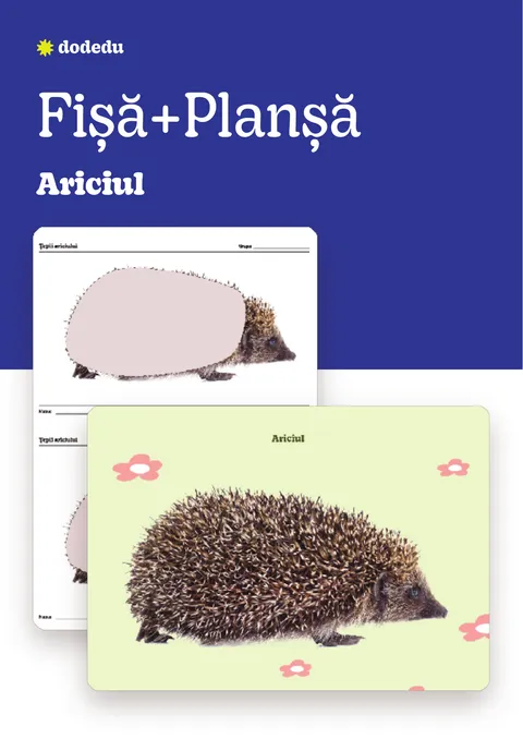 Ariciul - Set Planșă+Fișă
