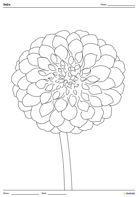 Fișă Dalia