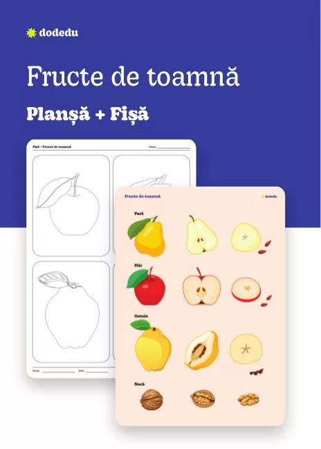 Fructe de toamnă - Set Planșă + Fișă