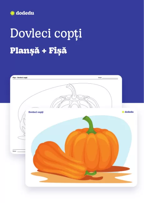 Dovleci copți - Set Fișă+Planșă