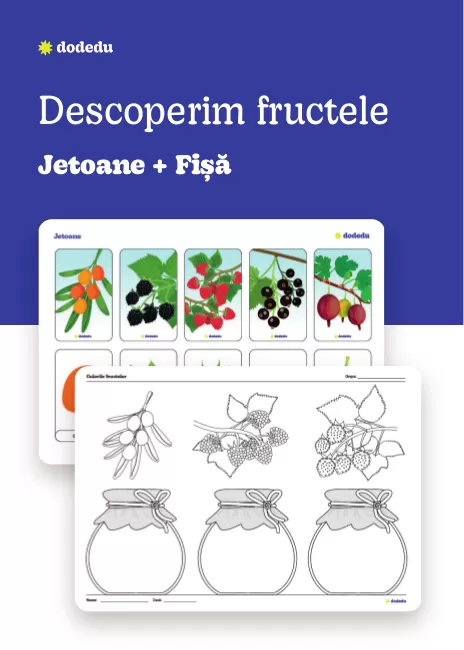 Descoperim fructele - Set Planșă+Fișă