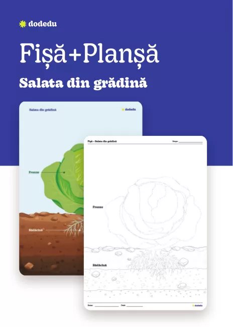 Salata din grădină - Set Planșă+Fișă