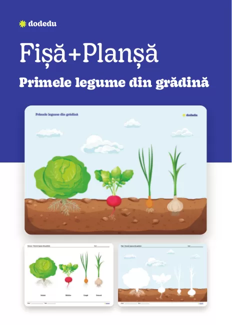 Primele legume din grădină - Set Planșă+Fișă