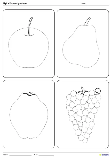 Fișă - Fructul preferat