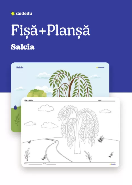 Salcia - Set Fișă+Planșă