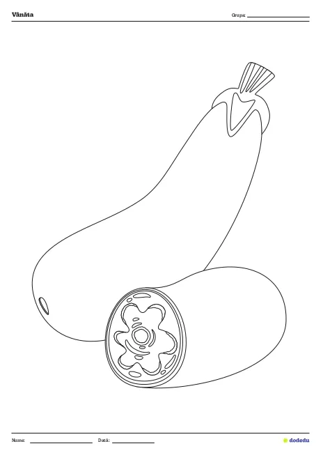 Fișă Vânăta