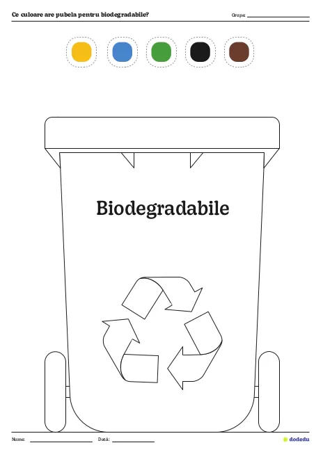 Fișă Ce culoare are pubela pentru biodegradabile?