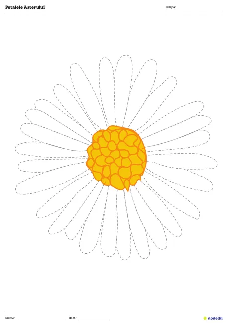 Fișă Petalele Asterului