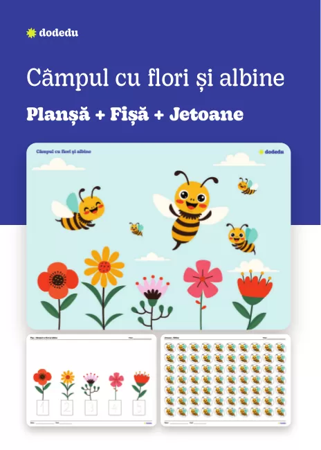 Câmpul cu flori și albine - Set Plansă+Fișă