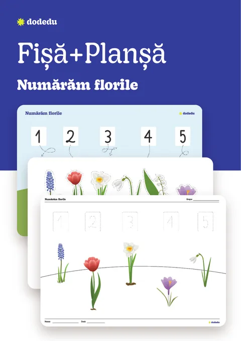 Numărăm florile - Set Fișă+Planșă