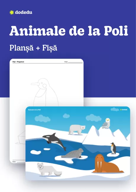 Animale de la Poli - Set Planșă+Fișă