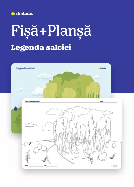 Legenda Salciei - Set Fișă+Planșă
