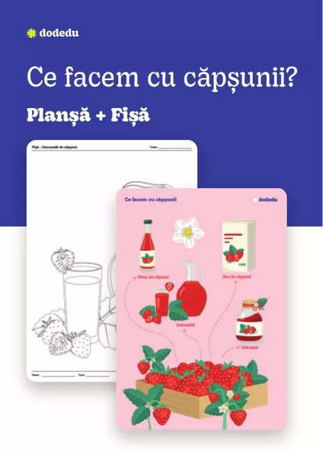 Ce facem cu căpșunii - Set Plansă+Fișă