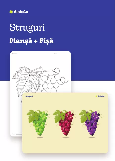 Struguri - Set Planșă + Fișă