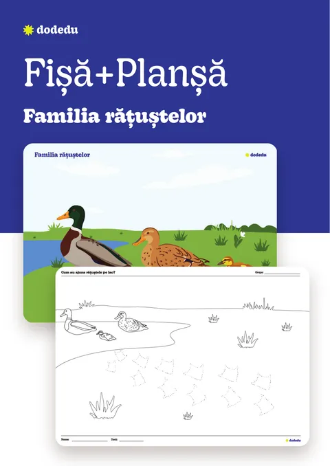 Familia rățuștelor - Set Planșă+Fișă
