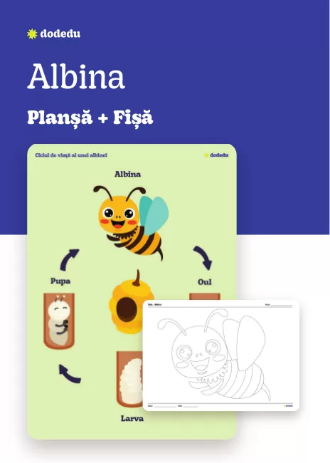Albina - Set Plansă+Fișă