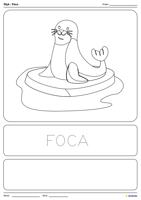 Fișă - Foca