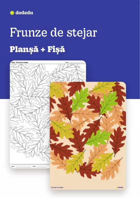 Frunze de stejar - Set Planșă + Fișă