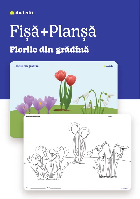 Florile din grădină - Set Fișă+Planșă