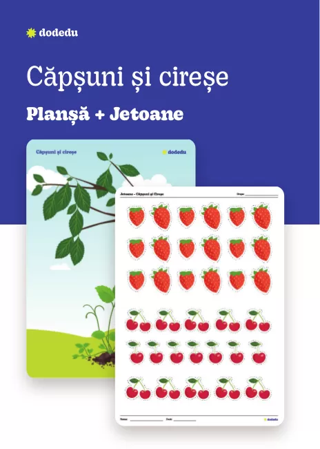 Căpșuni și cireșe - Set Plansă+Fișă