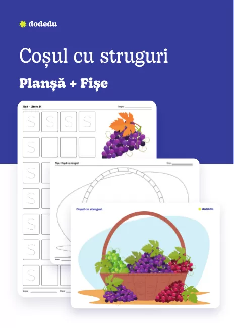 Coșul cu struguri - Set Planșă + Fișă