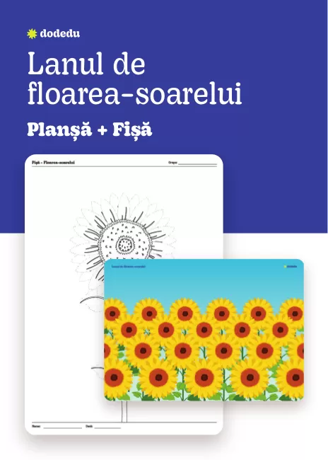 Lanul de floarea-soarelui - Set Planșă+Fișă