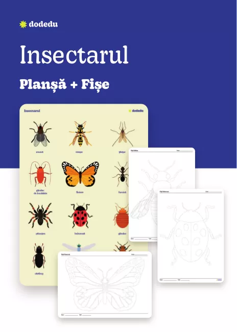 Insectarul - Set Planșă+Fișe