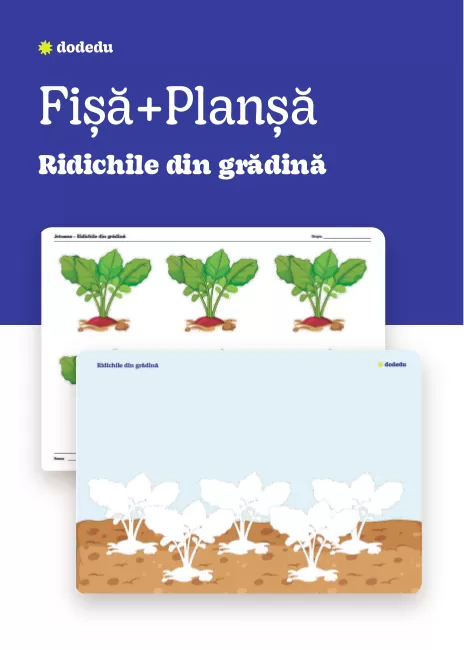Ridichile din grădină - Set Planșă+Fișă