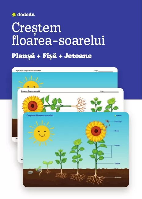 Creștem floarea-soarelui - Set Planșă+Fișă+Jetoane