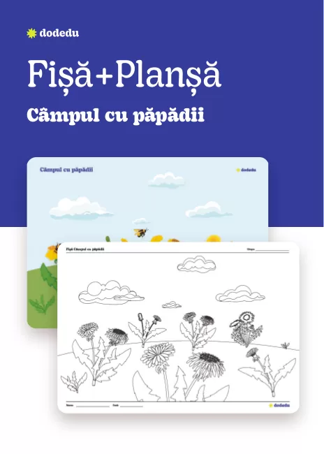Câmpul cu păpădii - Set Fișă+Planșă