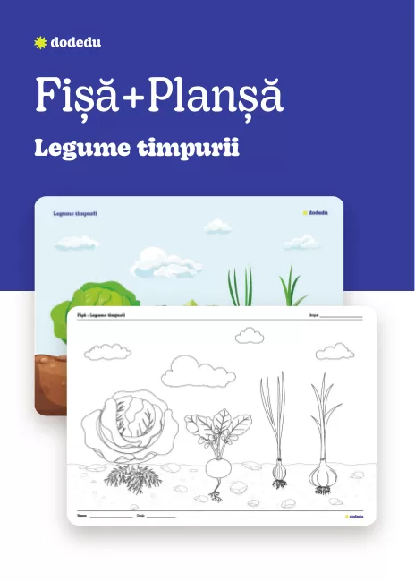 Legume timpurii - Set Planșă+Fișă