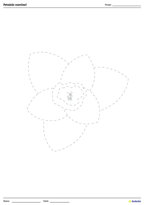 Fișă Petalele narcisei