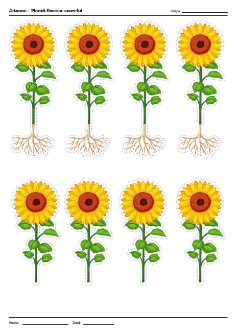 Jetoane - Plantă floarea-soarelui