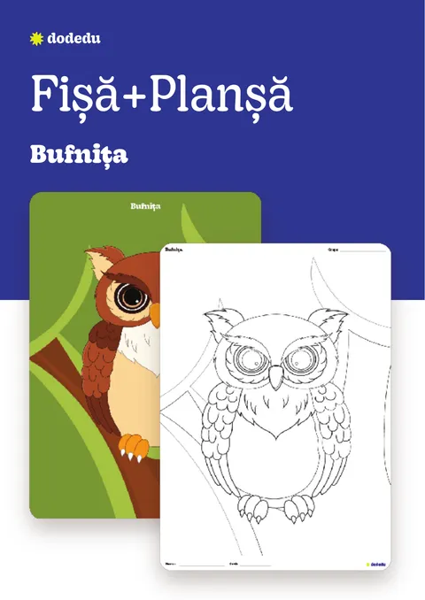 Bufnița - Set Planșă+Fișă