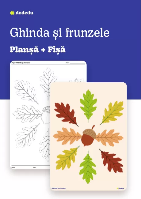 Ghinda și frunzele - Set Fișă + Planșă