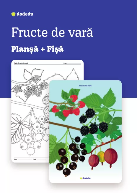 Fructe de vară- Set Planșă+Fișă