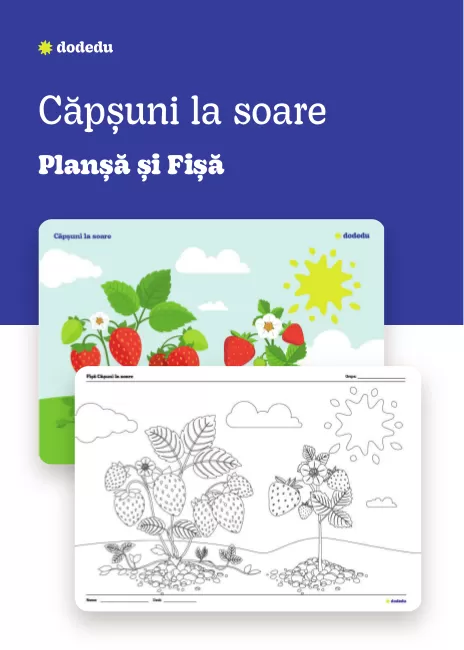 Căpșuni la soare - Set Plansă+Fișă