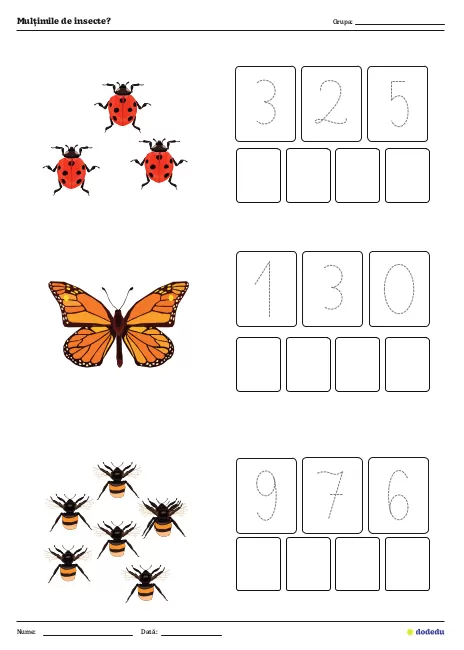 Fișă Mulțimile de insecte?