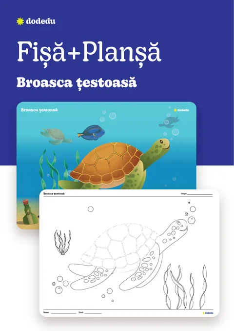 Broasca țestoasă - Set Planșă+Fișă