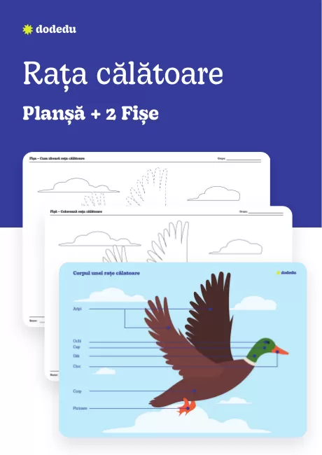 Rața călătoare - Set Planșă + Fișe