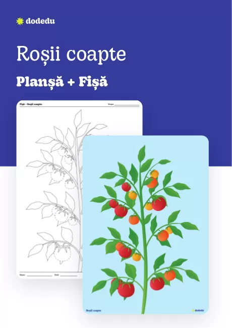 Roși coapte - Set Planșă + Fișă