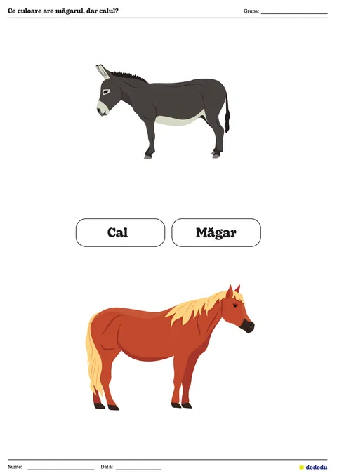 Fișă Ce culoare are măgarul, dar calul?